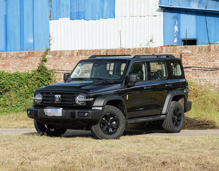 2023 Tank300 2.0T Off-road Model Gasoline 2.0T 227HP L4 5 Door 5 seats SUV
