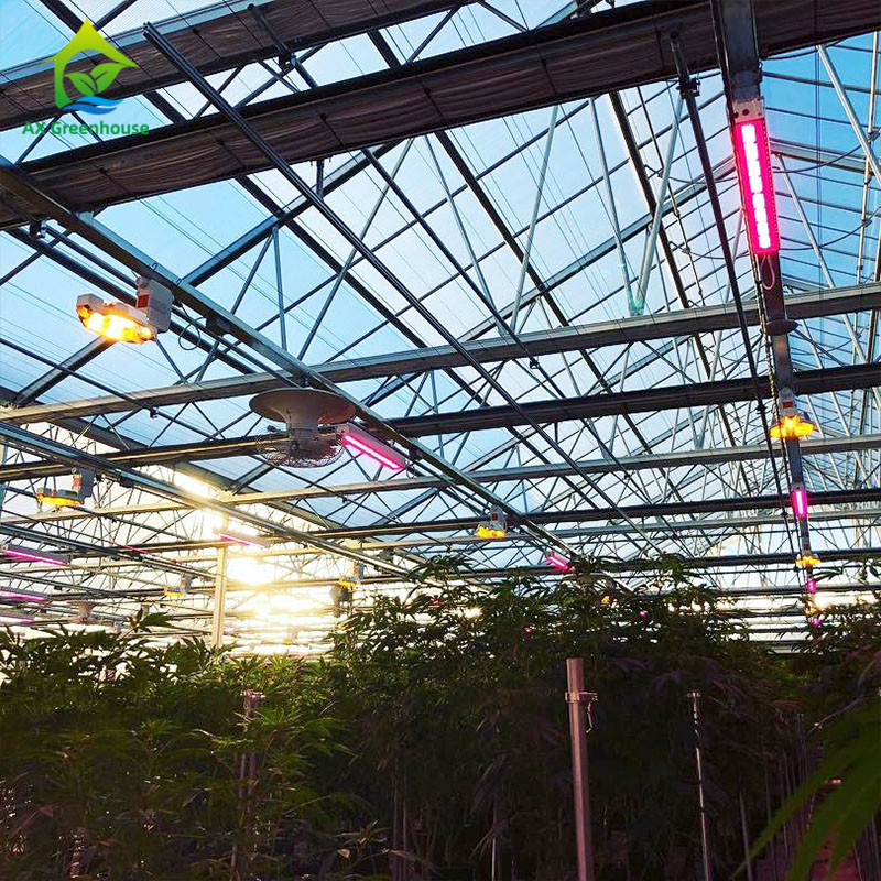 Hemp Light Deprivation 20' X 100' Greenhouse 3 Layers Peppers Green House