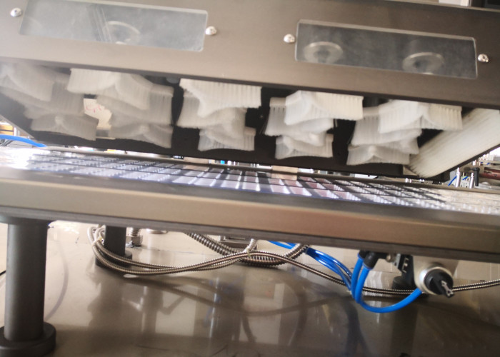 Sterile Blister Packaging Equipment Pharmaceutical Industry 3100×670×1650mm