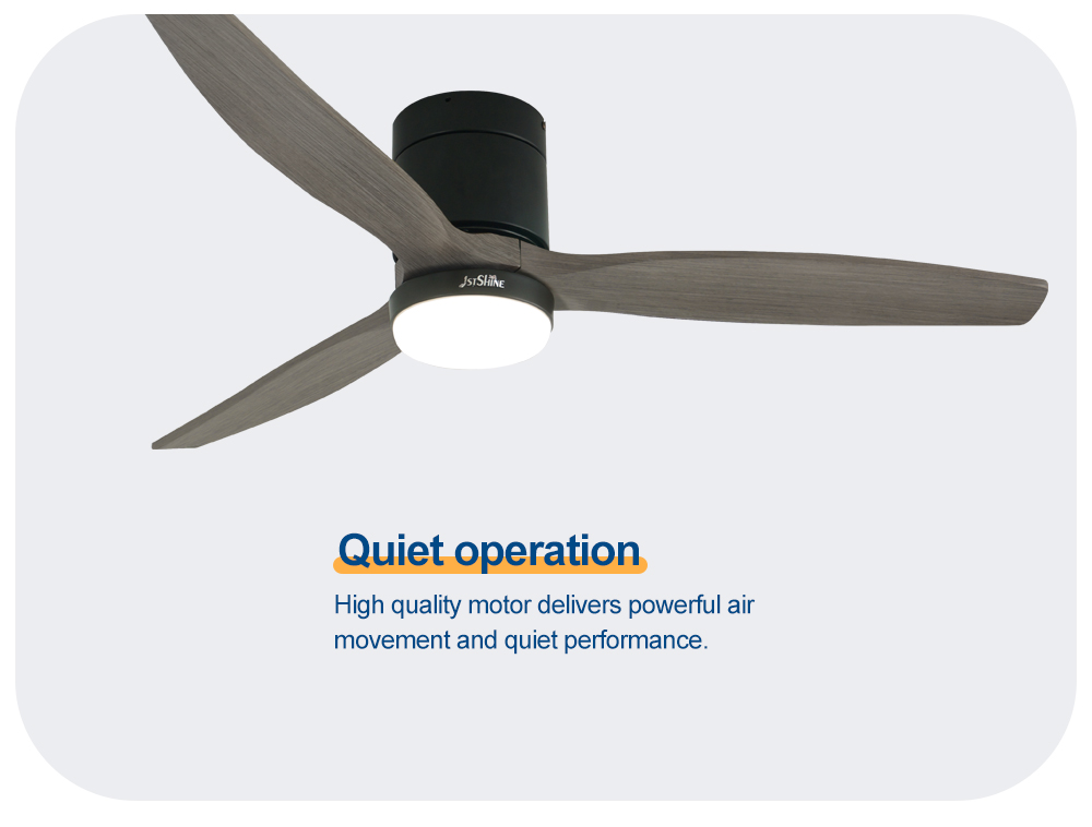 ceiling fan