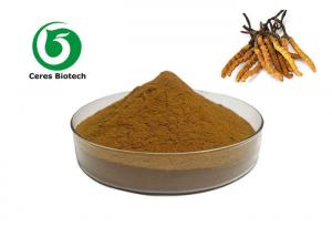 China Immunity Enhancement Herbal Cordyceps Sinensis Extract on sale