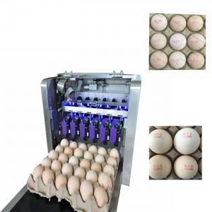 China Eggs Batch Code Food Inkjet Printer , Continuous Laser Marking Machine wholesale