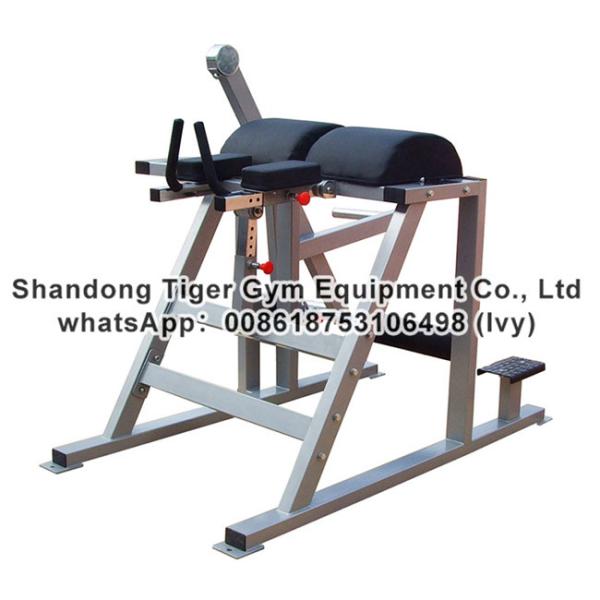 Strength Fitness Equipment / plate loaded gym fitness equipment / Reverse Hyper