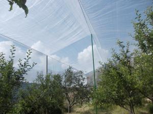 China Apple Orchard Anti-Hail Net,Woven Nets to Protect Plants wholesale