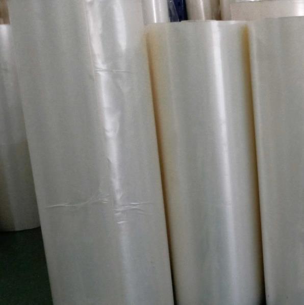 Transparency Opaque Silver CPP Reflective Film for Apple Tree and Food Packaging