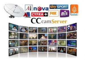 China Stable Cccam Pay Server Automatically Updated With DVB - S2 Receiver wholesale