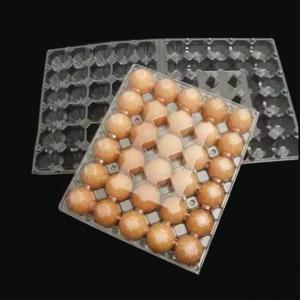 China 5X6 Disposable Plastic Egg Tray 30 Holes Transparent Egg Tray Plastic wholesale