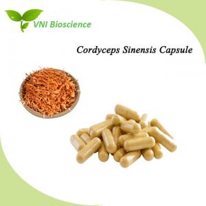 China Mushroom Softgels Capsules Natural Cordyceps Sinensis Capsule on sale