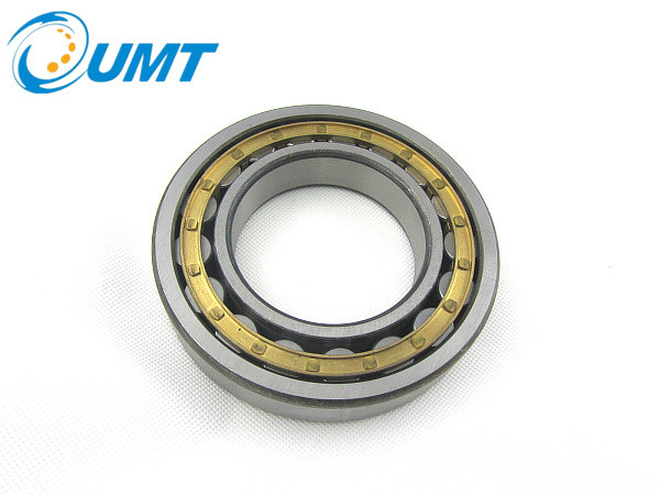 3282107 single row cylindrical roller bearing 35mm x 62mm x 20mm NN3007