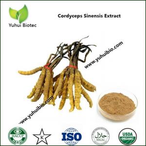 China Organic Cordyceps Mushroom Supplement,Cordyceps Sinensis Pure Liquid Extract on sale