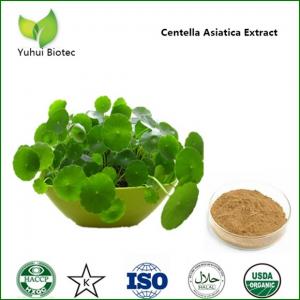 China gotu kola herb extract,herba centellae extract,centella asiatica powder on sale