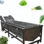 Stainless Steel 304 Automatic Ultrasonic Vegetable Washing Machine Industrial