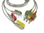 Philips M1613A IEC / ECG Patient Cable , 3 / AA Lead Wires