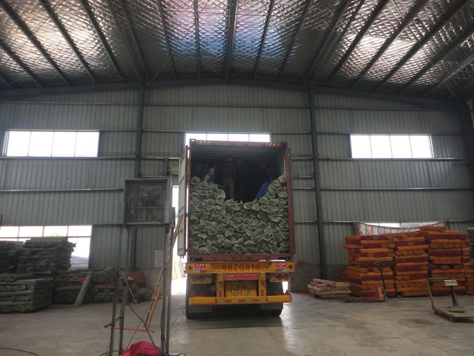 Cleaning Hardwood 1200*22mm Wooden Mop Handles