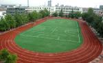 Durable Premium Soccer Artificial Grass For University Soccer / Football