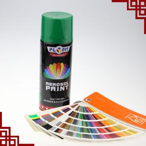 China Plastic Coating TUV Aerosol Spray Paint Quick Drying Lacquer Spray wholesale