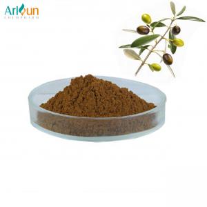 China Natural 20% Oleuropein Olive Leaf Extract Powder 80 Mesh on sale