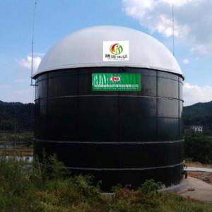 China Food Waste Small Biogas Balloon Biogas To CNG Conversion Plant wholesale
