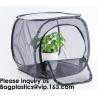 Agricultural Greenhouses for Tomato Planting,Pop-Up Tomato Plant Protector Serves as a Mini Greenhouse to Accelerate Gro for sale