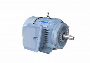 China Marine Special Electric Motors Three Phase High Efficient CE IP66 wholesale