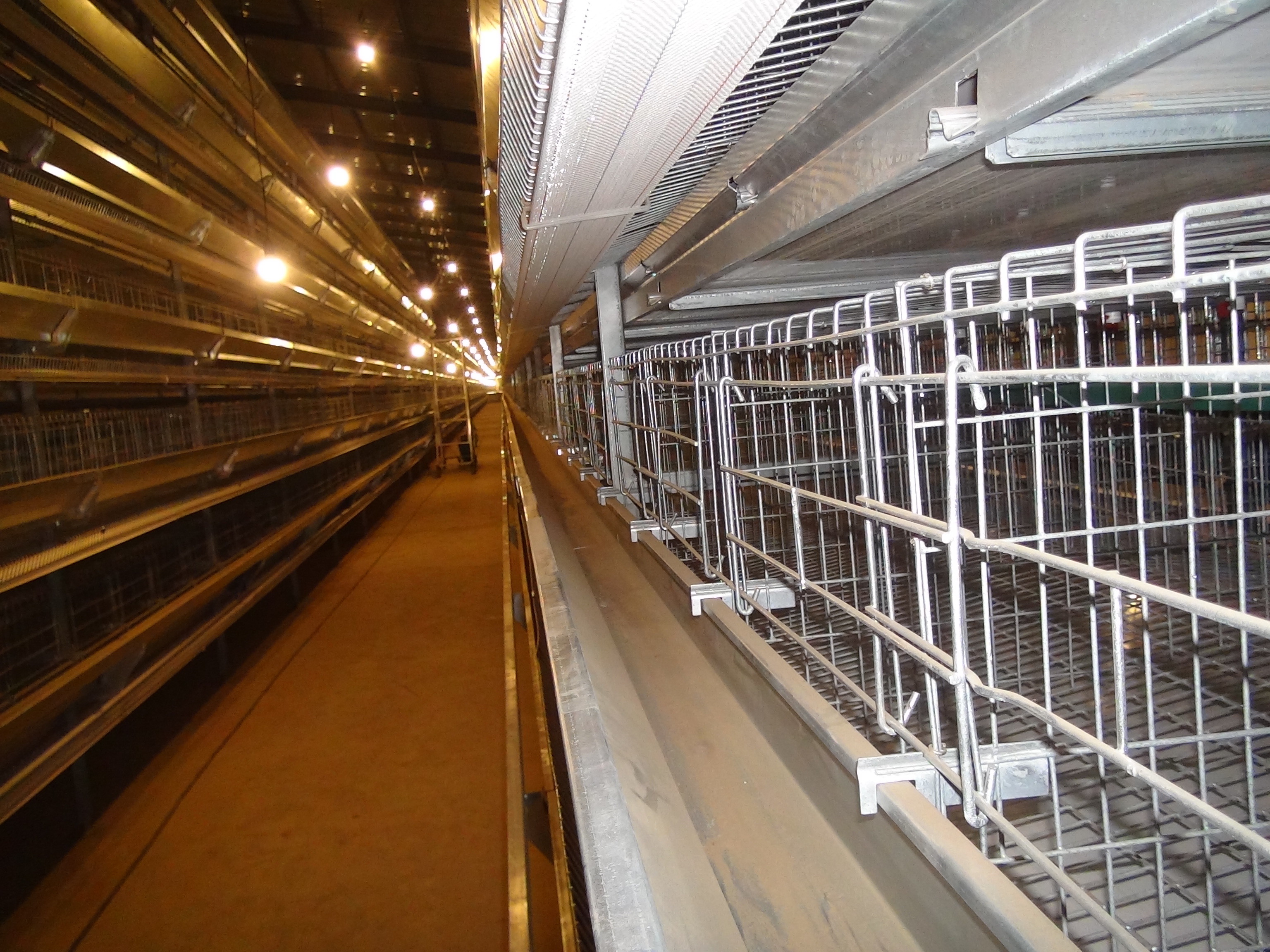 Durable and Sturdy High-Density Hot Galvanized Egg Layer Chicken Cage for Your Poultry Farm