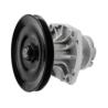 Buy cheap TiBAO Auto Parts Water Pump 7617168 7770038 ISO Certification from wholesalers