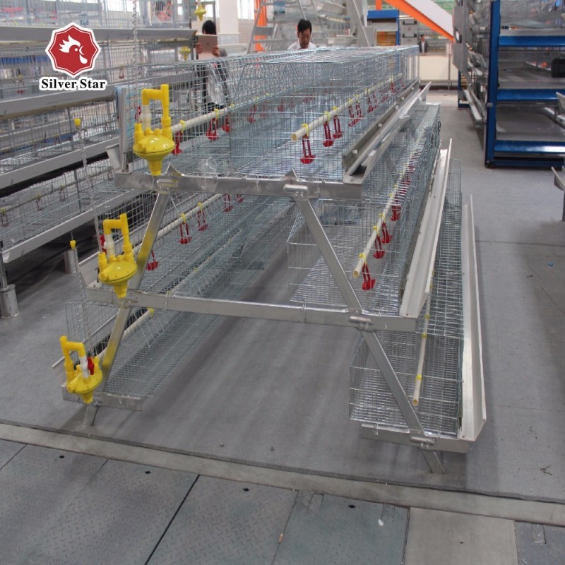 4 Tiers A Type Cage System For Broiler Battery Chicken Q235A