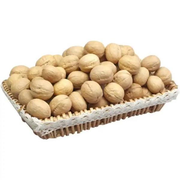 China walnuts Factory Supplier Wholesale Healthy inshell Organic walnuts Food