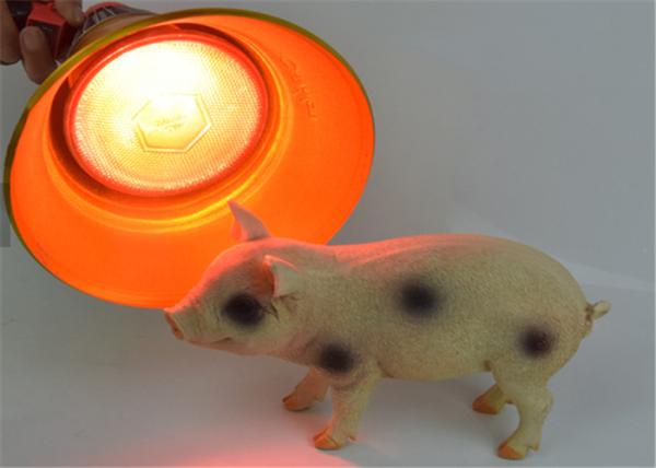 250W Pig Farm Equipment Waterproof Hard Glass More Than 6000 Hours Low