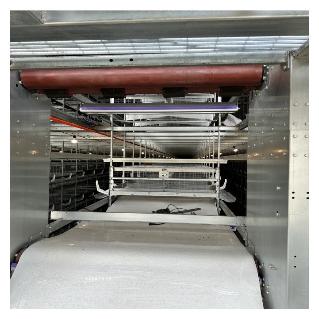 Durable & Labor-Saving: H-Type Fully Automatic Layer Cages for Modern Farms