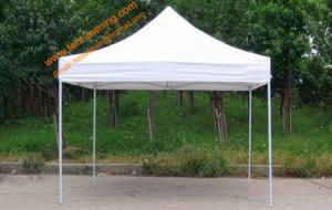China Waterproof  Pop Up Roof Top Tent 3x3m Advertising Event Tents Promotional Folding Shelters wholesale