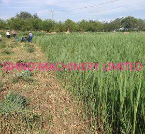China Automatic Forage Grass Reaper Binder, wholesale