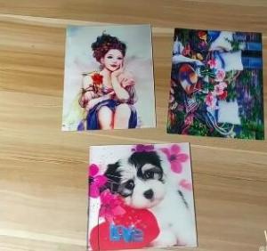 China OK3D professional supply flicker pictures india 3d lenticular card for sale with strong 3d depth lenticular effect wholesale