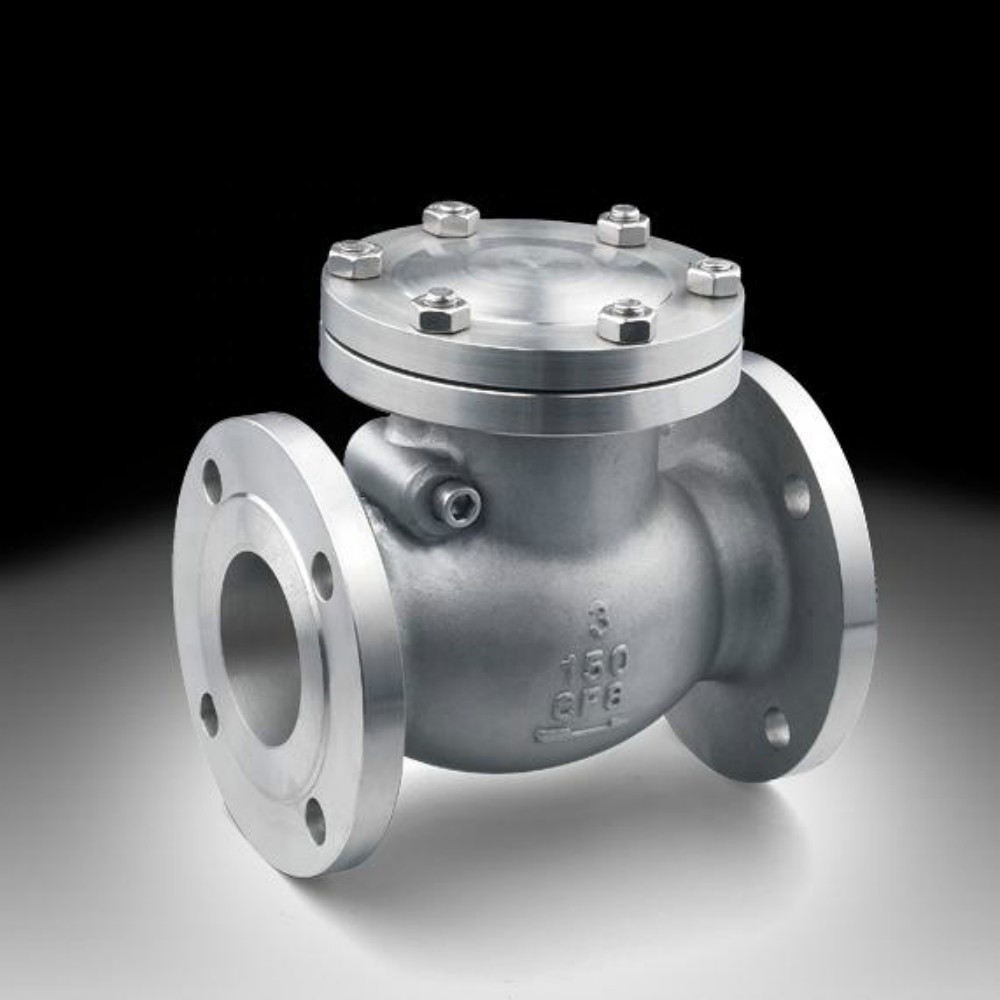 DN300 PN16 ANSI150 DIN PN16 WCB DI SS Stainless Steel Swing Type Check Valve