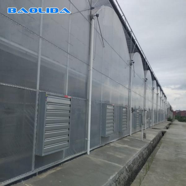 Steel Structure Polythene Tunnel 4 Mil Plastic Sheeting Greenhouse