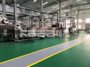 China Continous Seaweed Mesh Conveyor Belt Dryer onion moringa leaf red chilli Drying Machine wholesale