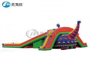 Wet And Dry Commercial Inflatable Water Slides Customized Color Size