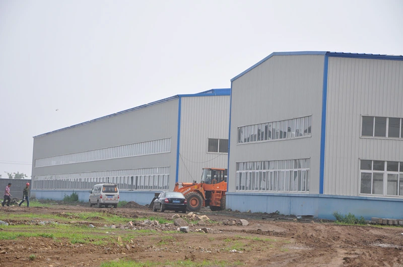 H Section Steel Structure Building/Workshop/Shed/Hanger Q235/Q345
