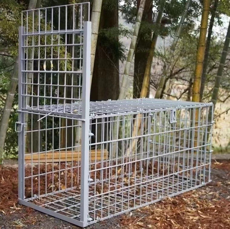 Large Humane Live Animal Trap Cage 2M Single Door Steel Animal Cage