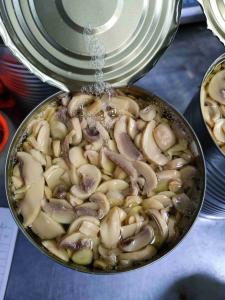 China Original Flavor Canned Champignon Mushroom Cool & Dry Storage PH 4.5-6.5 wholesale