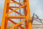 Mast Section, Standard Section, Body of Tower Crane