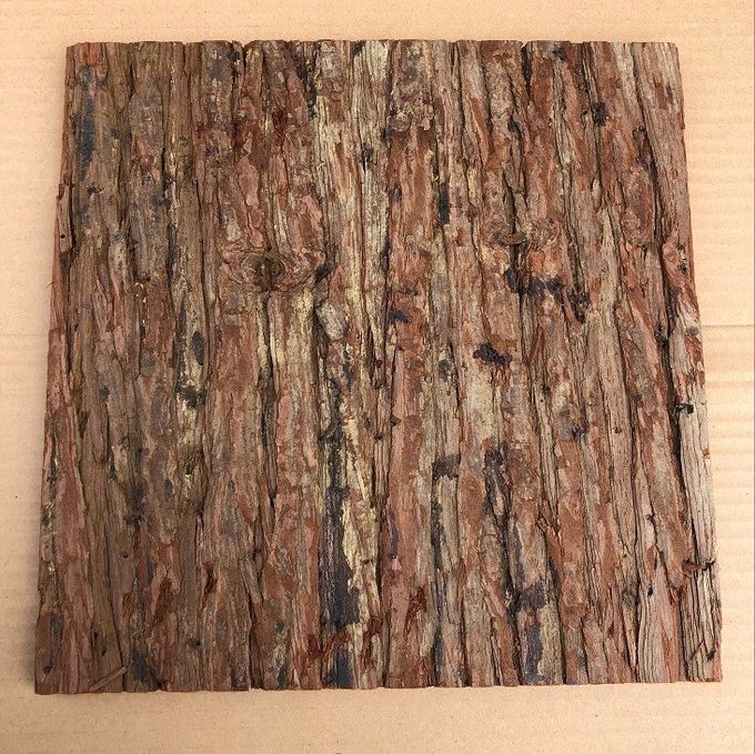 300*300mm Standard Size Frist-Layer Fir Bark tiles with Cork Back for Wall Decoration