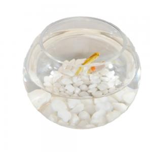 China fish bowl glass,circle bowl fish glass,clear fish bowl,clear glass decorative bowls wholesale