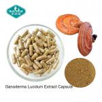 Ganoderma Lucidum Reishi Mushroom Capsules with Vegetarian Capsule for Healthy