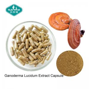 China Ganoderma Lucidum Reishi Mushroom Capsules with Vegetarian Capsule for Healthy Heart wholesale