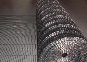 China Heat Resistant Flexible Conveyor Belt Chain Edge Custom Design Anti - Corrosion on sale