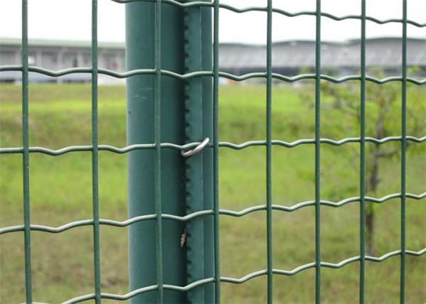 PVC COATED Euro garden metal fence/euro garden fance/ garden fencing for