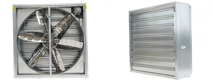 Exhaust Fan Factory Cow Frp Poultry Ventilation System