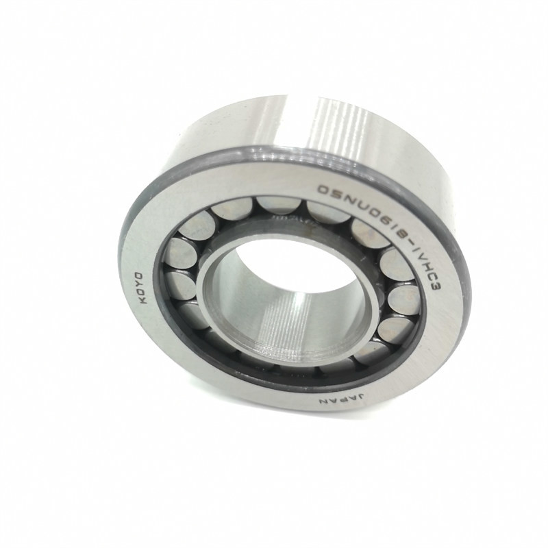 Stainless Steel Cylindrical Roller Bearing 05NU0618-1VHSH6C3 25x57x18 mm 1 YEAR Guarantee