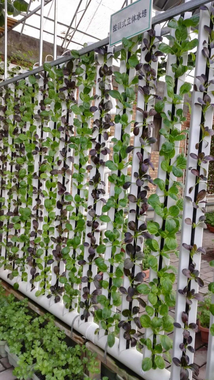Commercial Hydroponics Nft Strawberry And Flower Vertical Growing System Zipgrow Tower